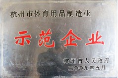 杭州市體育用品制造業(yè)示范企業(yè)